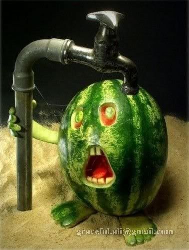 veg.jpg