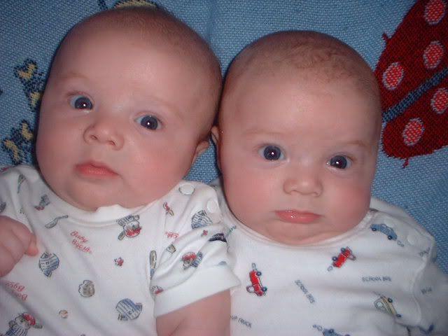 Twin016.jpg