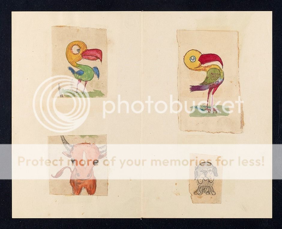 darwin-kids-animals_zpsjtrsexyc.jpg