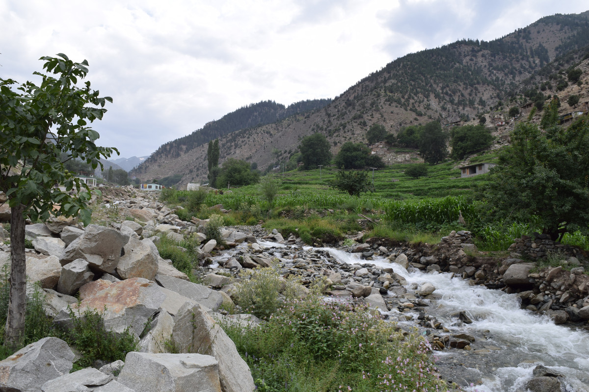 DSC-1464.jpg