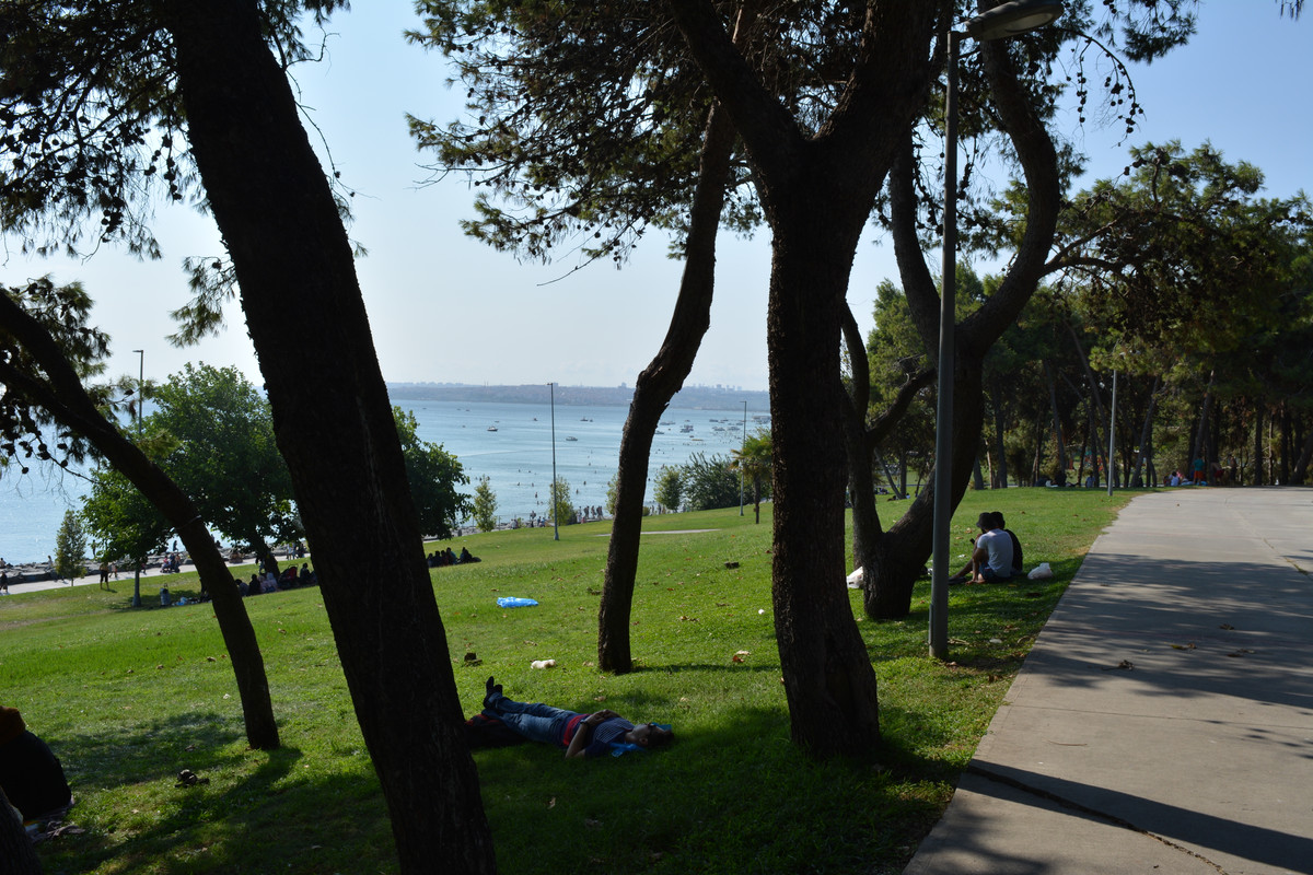 DSC-5758.jpg