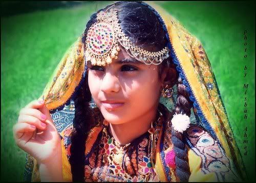 Sindhi.jpg