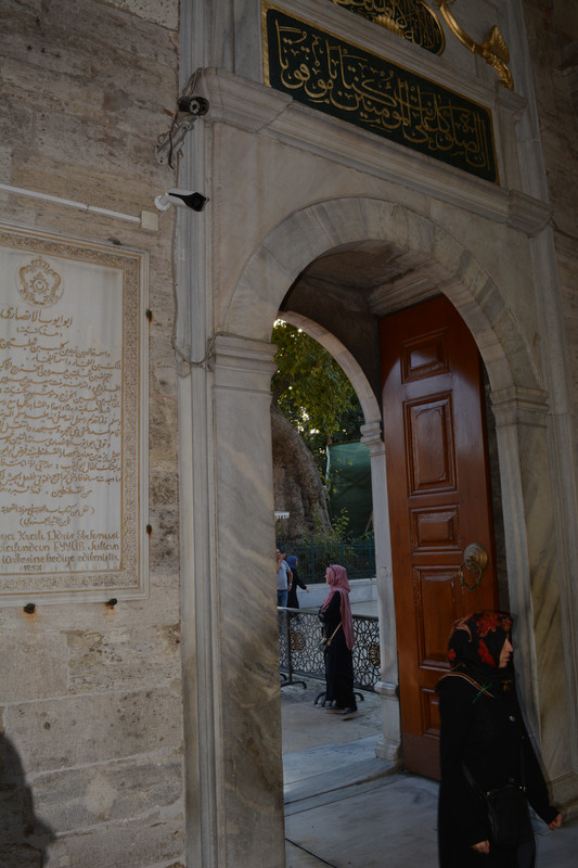 DSC-4488.jpg