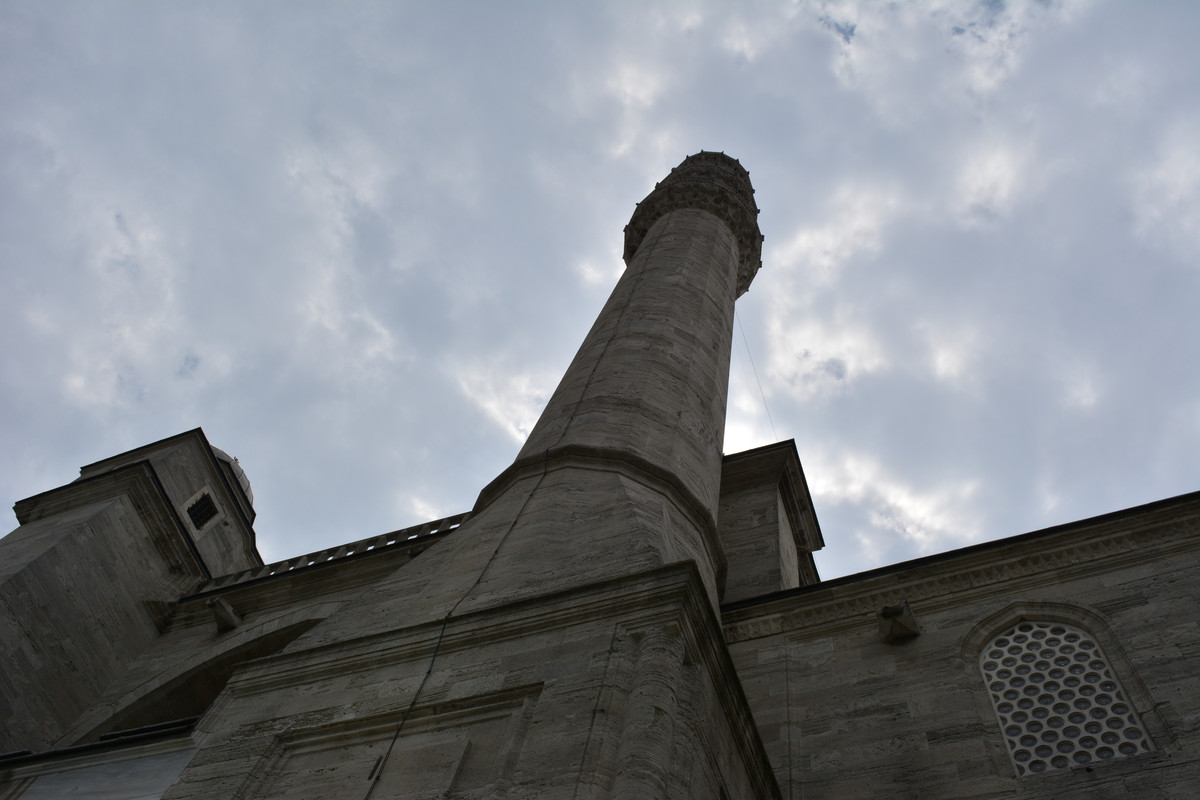 DSC-5907.jpg