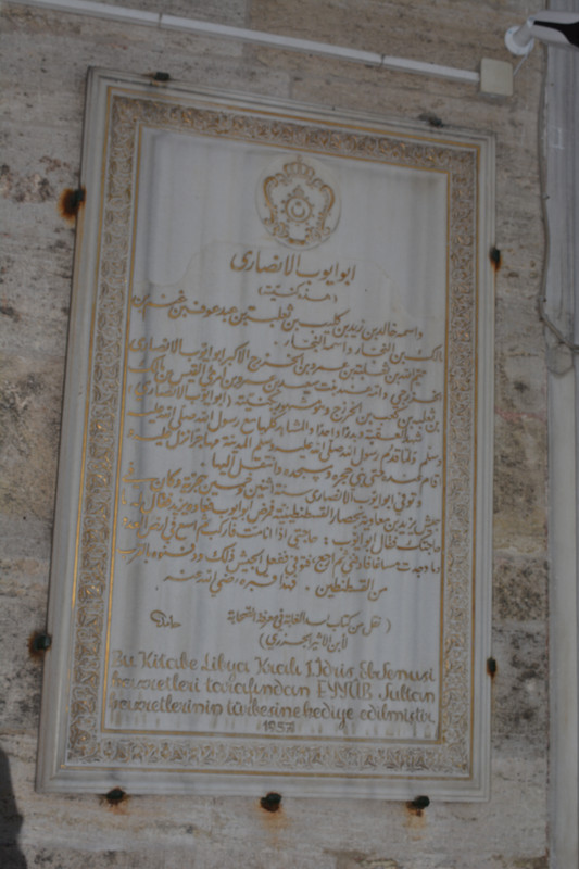 DSC-4487.jpg