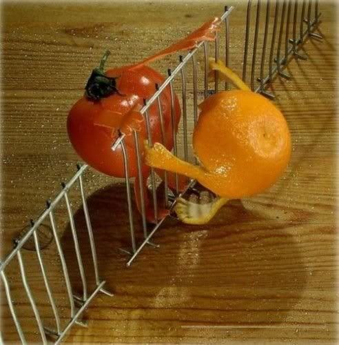 veg2.jpg