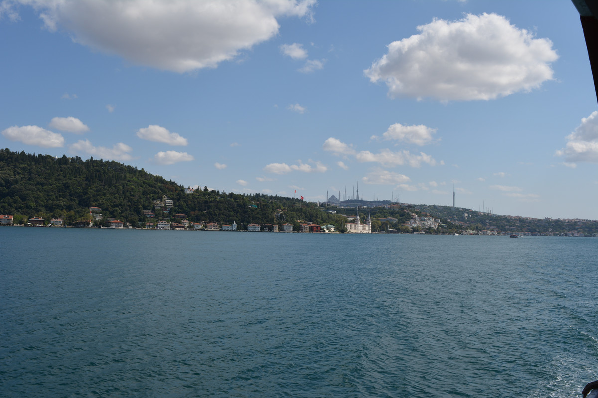 DSC-4763.jpg