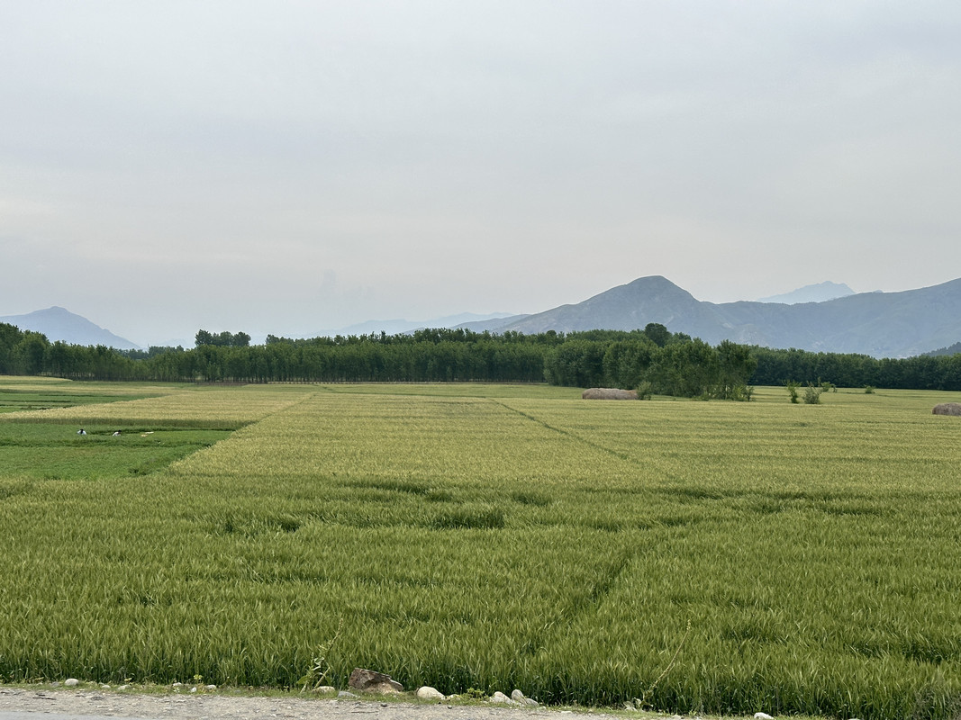 IMG-2706.jpg