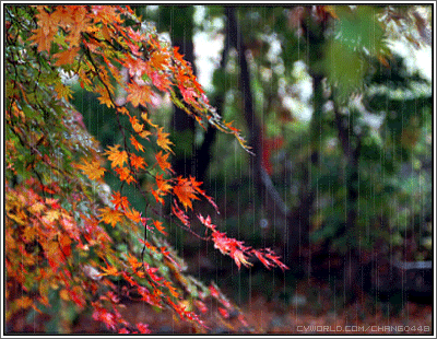778d7197e06f.gif