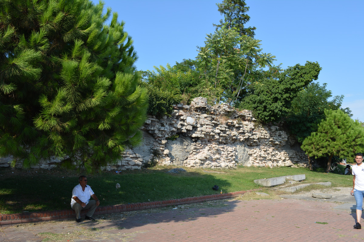 DSC-5768.jpg