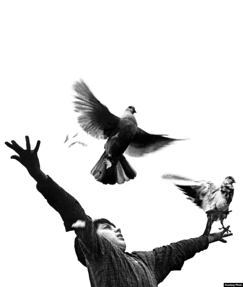 80A66E66-BE2B-4512-8B11-0E7612678EA8_w974_n_s.jpg