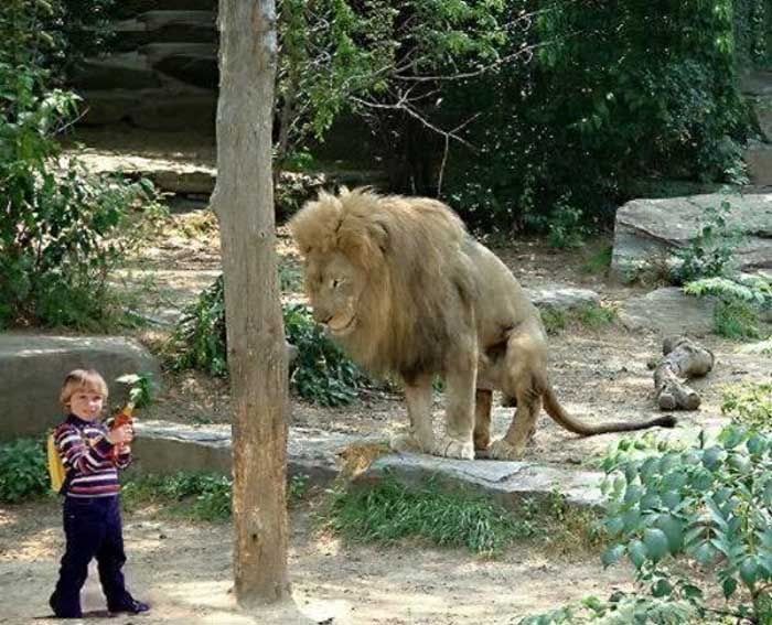 funnypictures170213.jpg