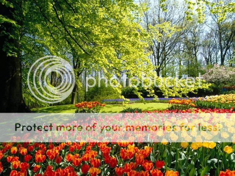 Picture24.jpg
