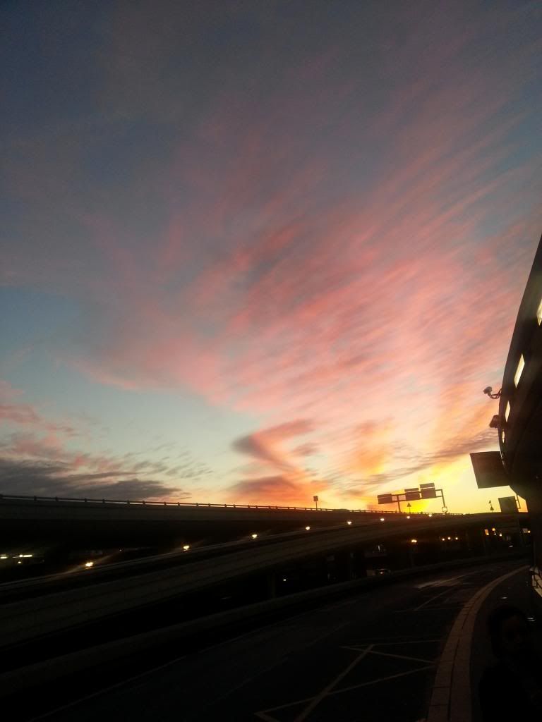 2012-11-03173726.jpg