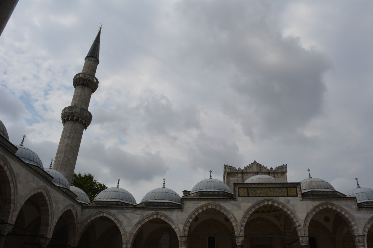 DSC-5901.jpg