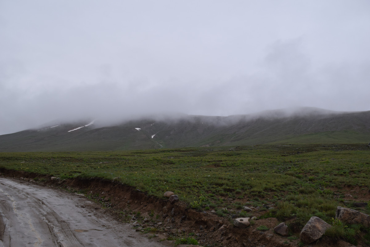 DSC-0752.jpg