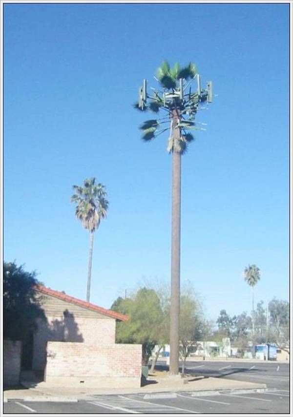 cell_tower_21.jpg