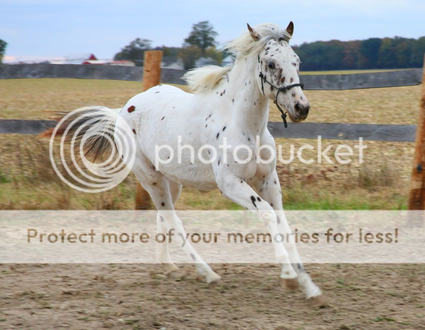 0544fcfe.jpg