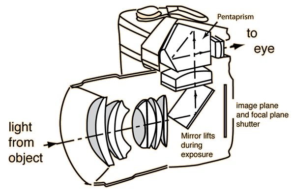 slr2.gif