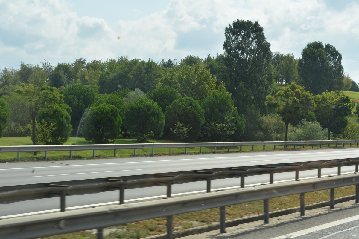 DSC-5047.jpg
