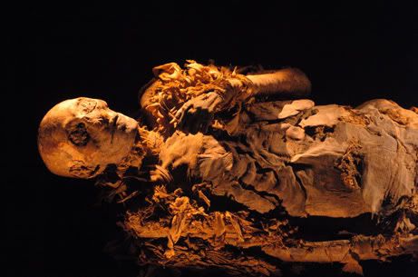 MUMMY12.jpg