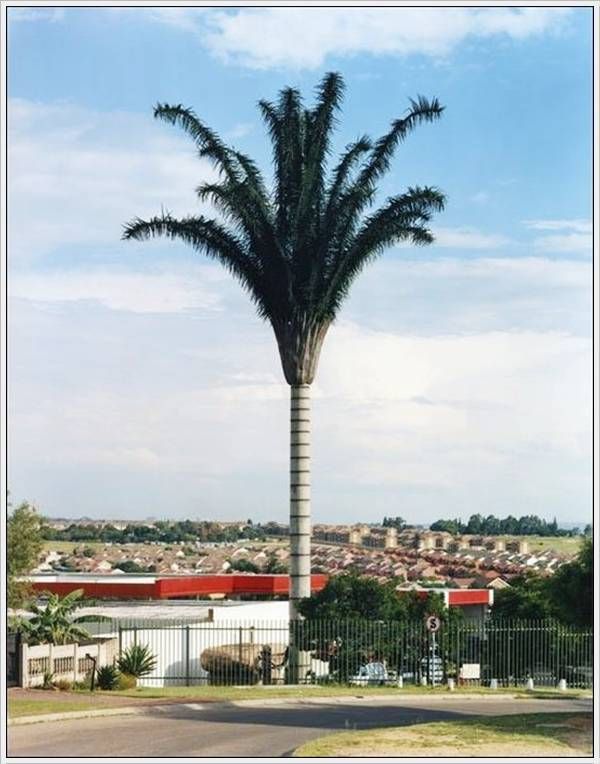 cell_tower_05.jpg