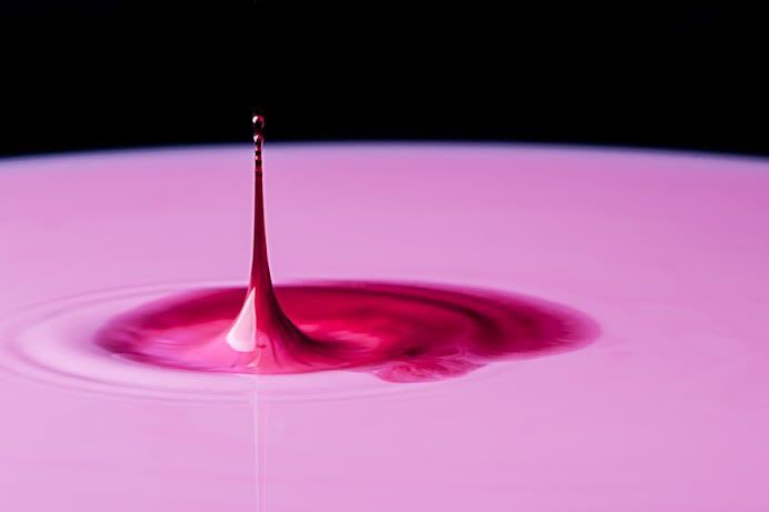 pinkby167.jpg