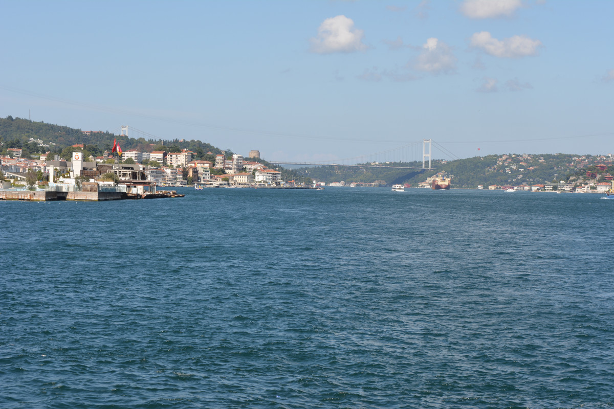 DSC-4750.jpg