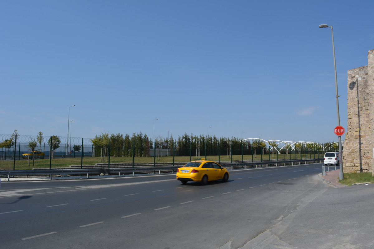DSC-5478.jpg