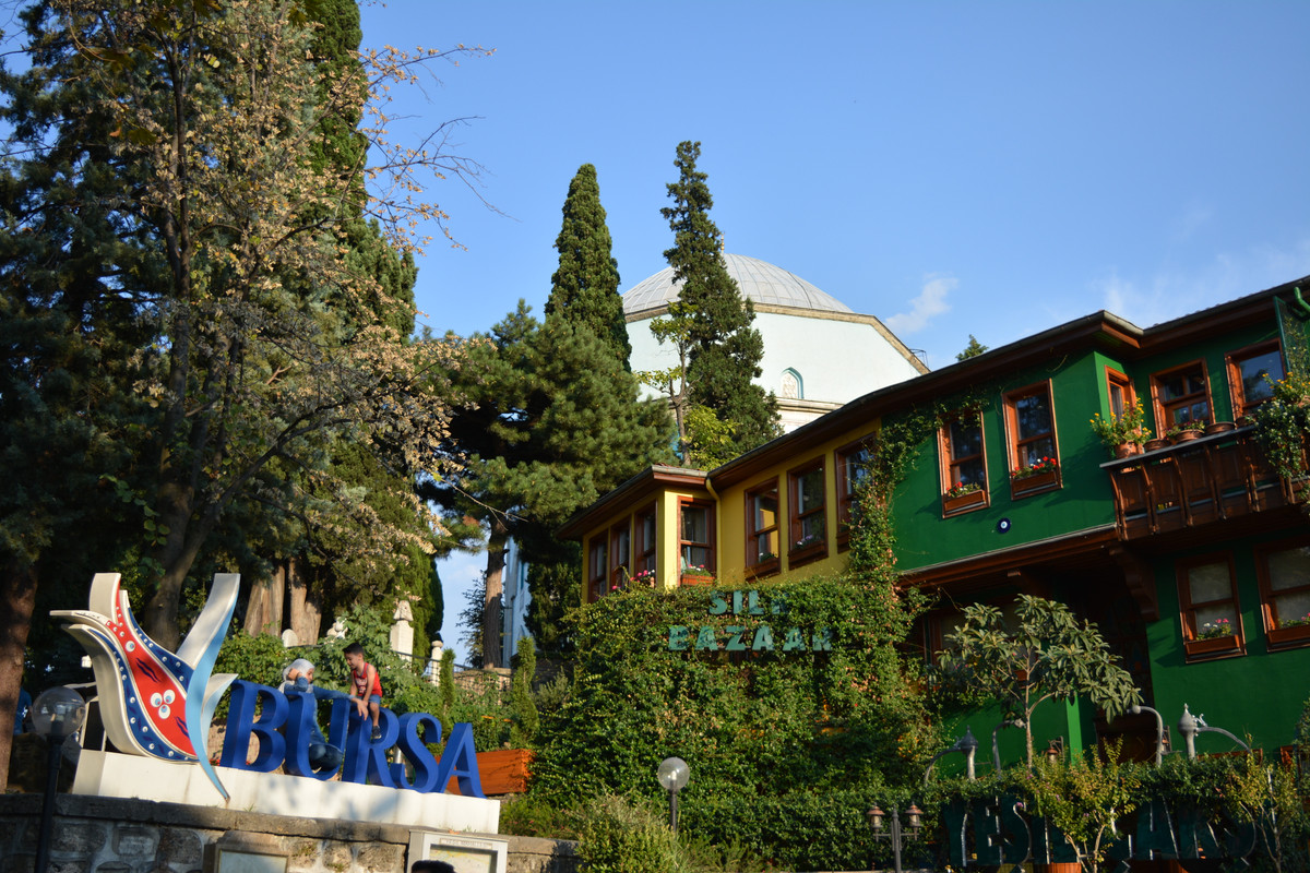 DSC-5377.jpg