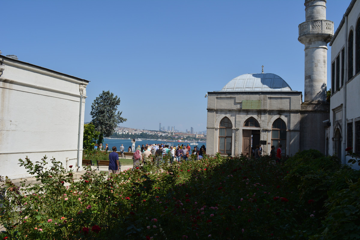 DSC-4249.jpg