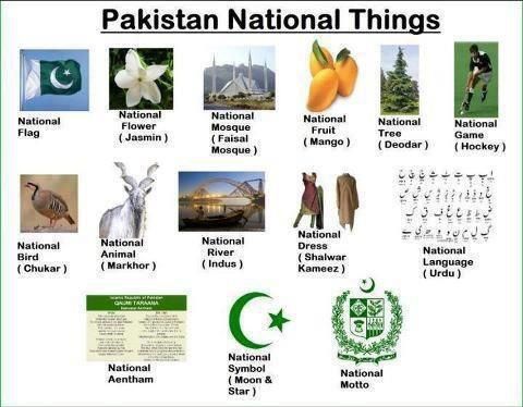 PakNationalThings.jpg