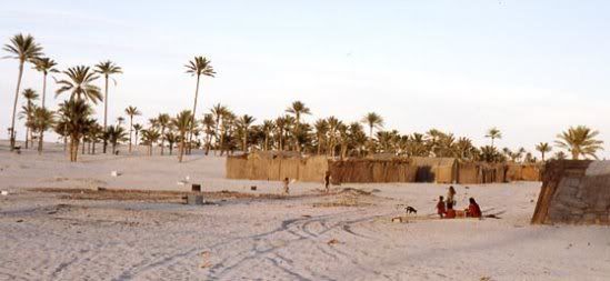 untitled5-20.jpg