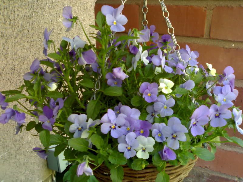 13062006883.jpg
