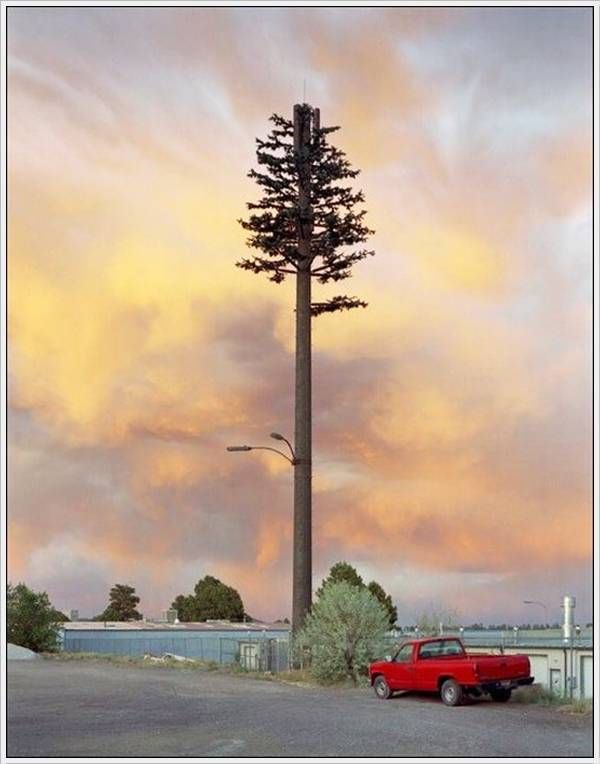 cell_tower_13.jpg