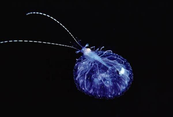 image009.jpg