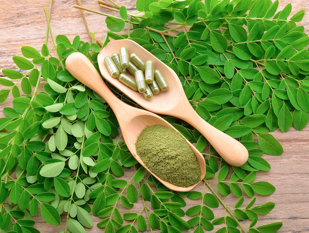 Moringa-Powder-VS.-Capsules.jpeg