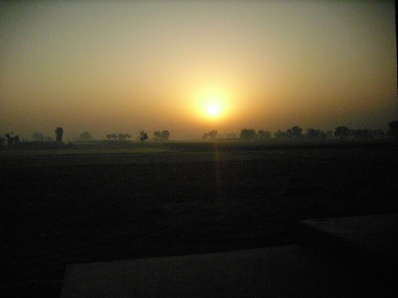 DSCI0028.jpg