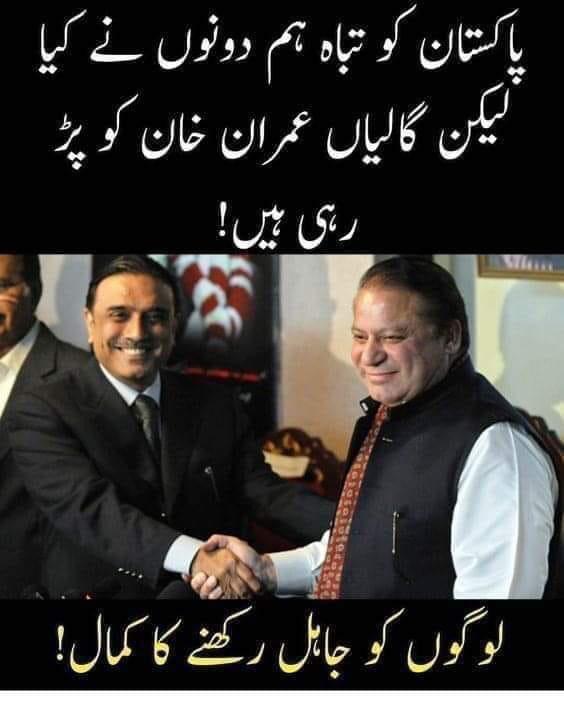 Whats-App-Image-2019-05-13-at-18-54-22.jpg