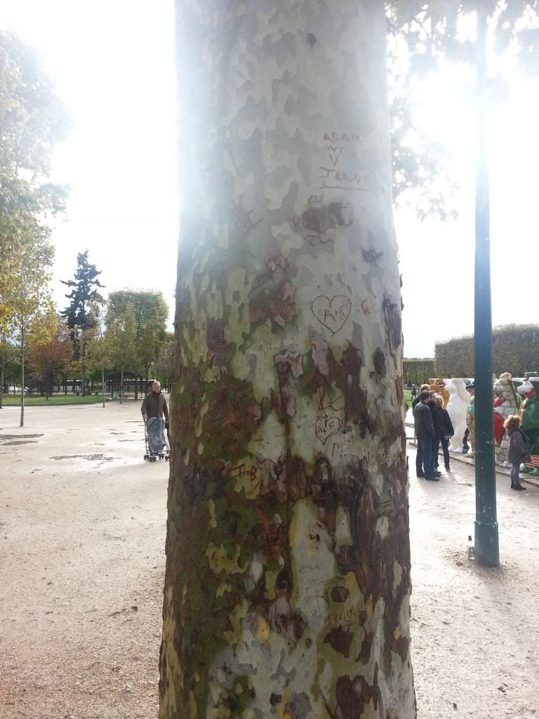 2012-11-03104200.jpg