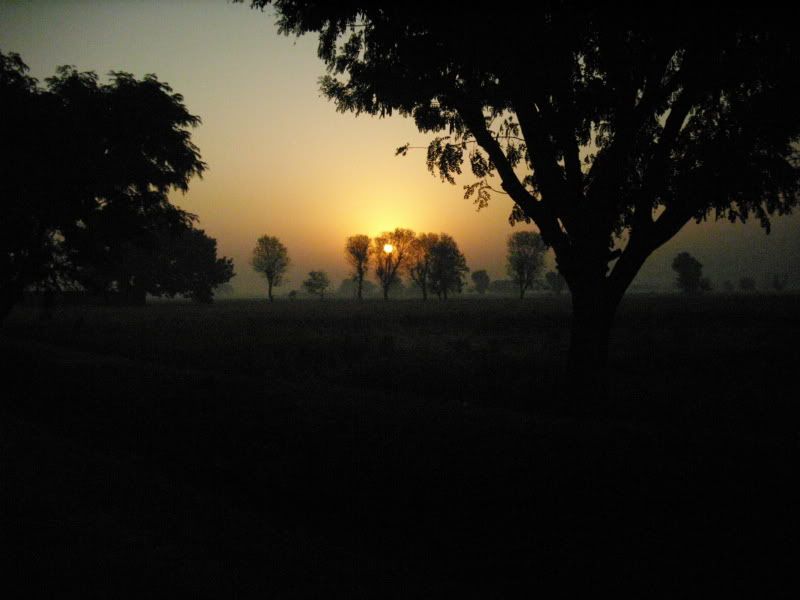 DSCI0018.jpg
