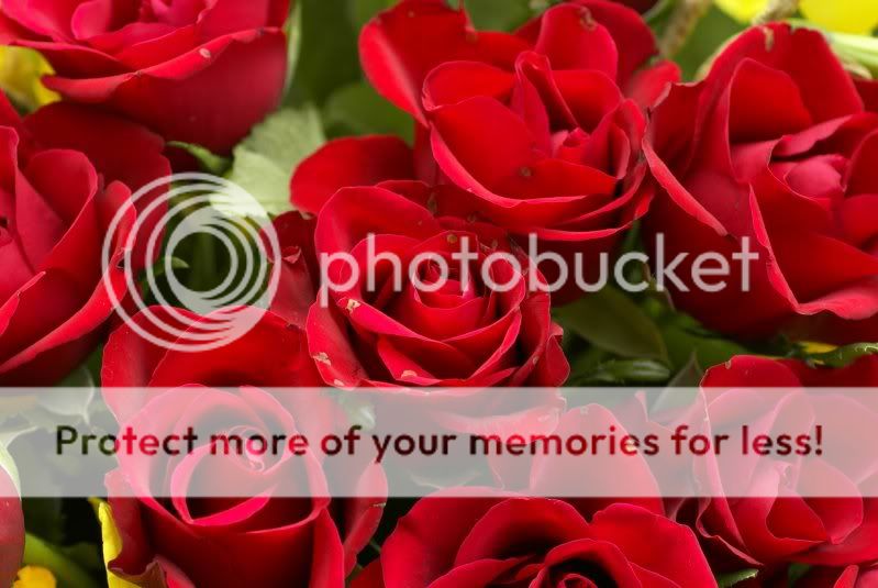 red-roses-bouquet.jpg