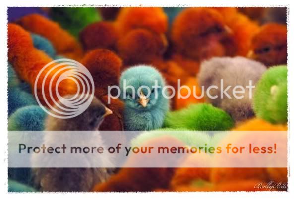 colorful-photoz-11.jpg