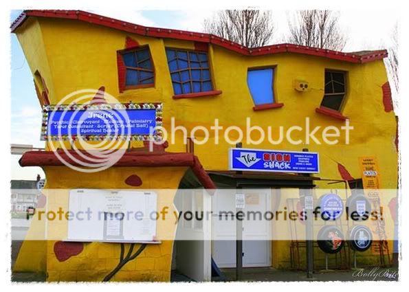 colorful-photoz-09.jpg