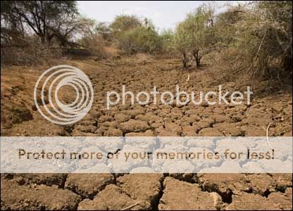 Drought.jpg