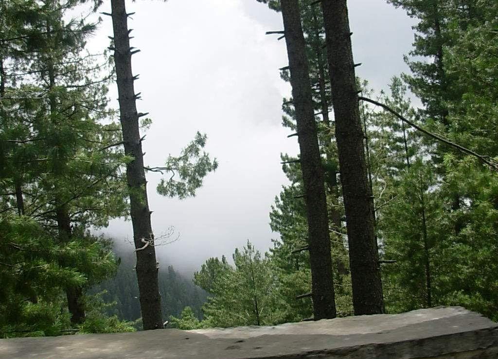 2_DSCN5607_1.jpg
