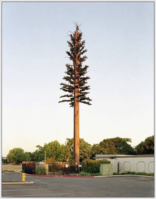 cell_tower_15.jpg