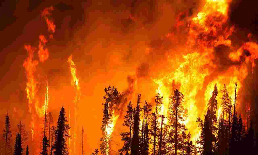 576970_4552854_cali-fire2_updates.jpg