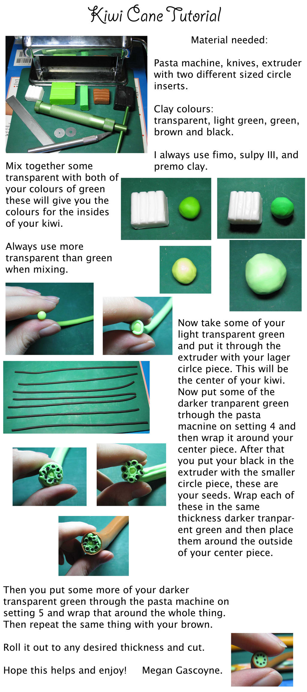 Kiwi_cane_tutorial_by_skookyspry.jpg