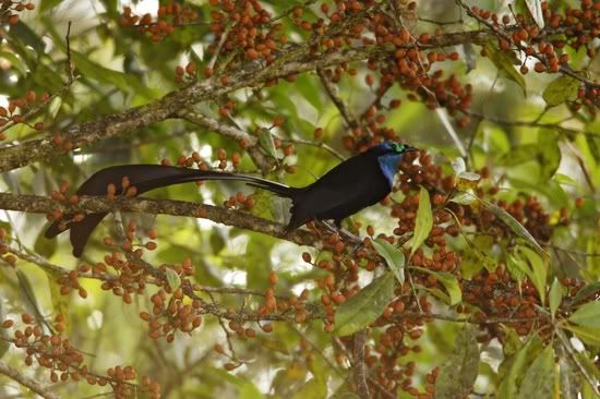image012.jpg